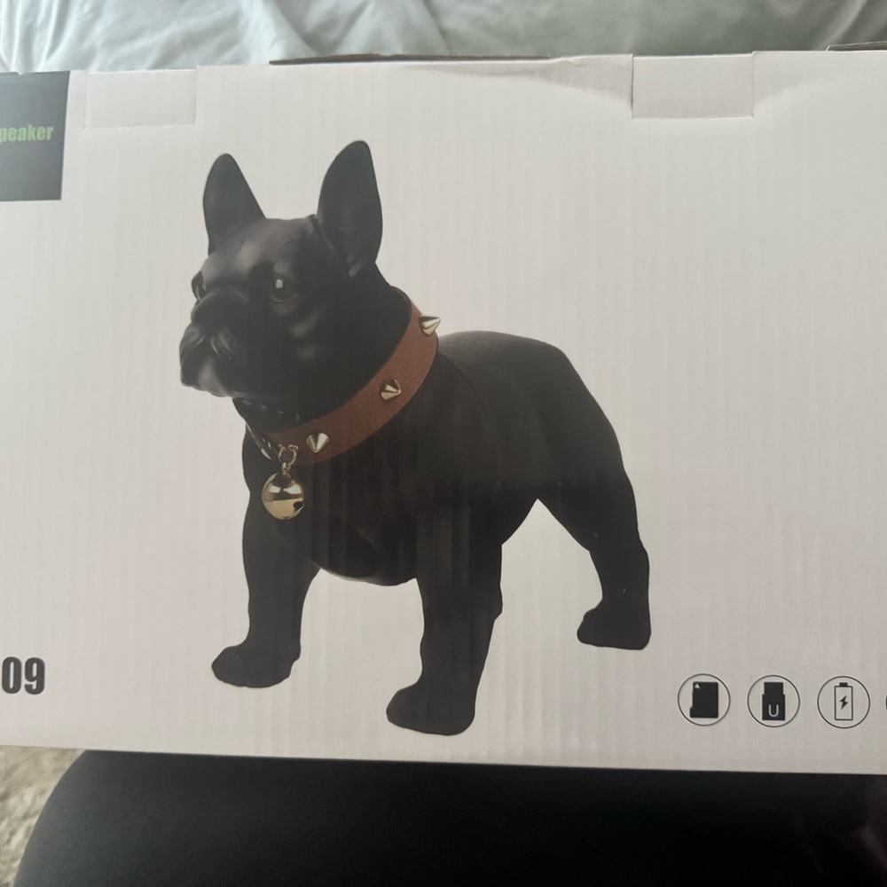 Black Bulldog Speaker with Brown Collar